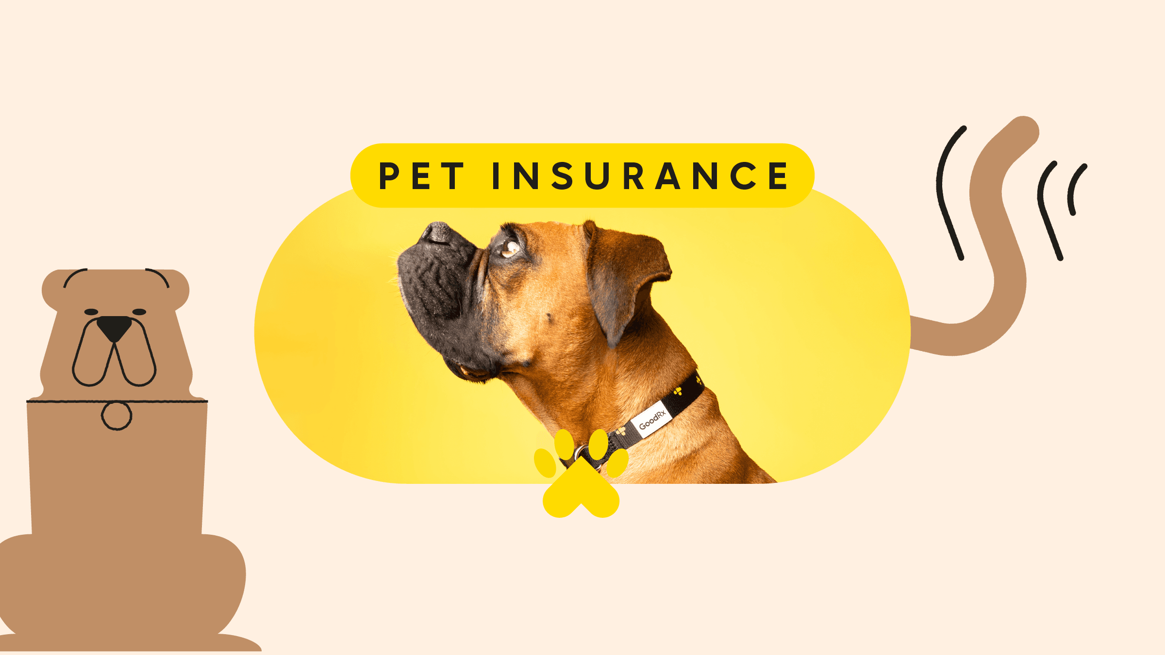 Affordable Pet Insurance Explained – Coverage, Cost & Benefits in the U.S.A 2025
