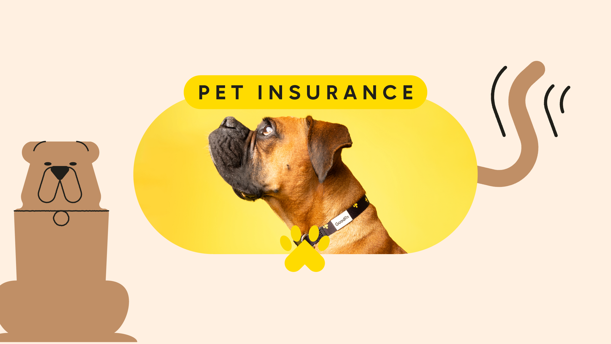 Affordable Pet Insurance Explained – Coverage, Cost & Benefits in the U.S.A 2025