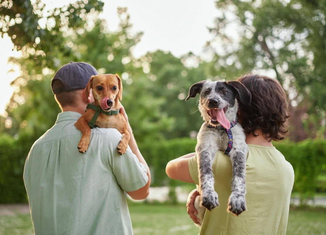 A 2026 Guide to Walmart and Costco Pet Insurance for U.S. Dog and Cat Owners: How It Works, What to Know, and How to Evaluate Your Options