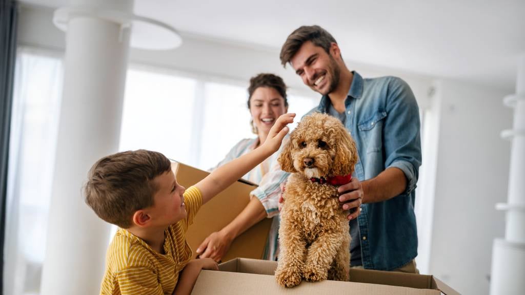 Walmart vs. Costco Pet Insurance: Real Coverage Options for Dog and Cat Owners