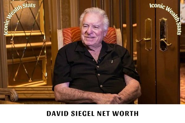 David Siegel Net Worth