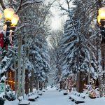 Best Christmas Vacation Spots for Families 2025